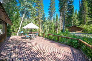 Wooden terrace with a storage unit