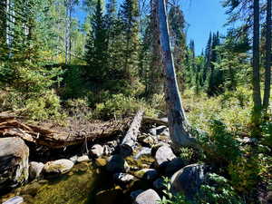 View of landscape