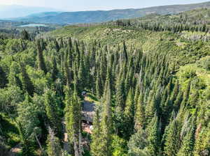 Bird's eye view featuring a mountain view