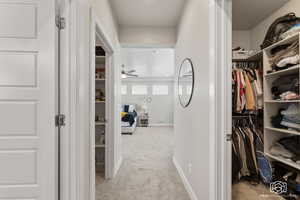 Primary Bedroom hallway featuring spacious closets with light carpet