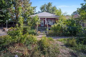 Brick Bungalow garden, fruit, veggies and drought tolerant plants