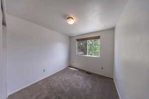 Unfurnished room with a textured ceiling and carpet