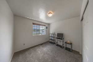 Carpeted empty room with a textured ceiling