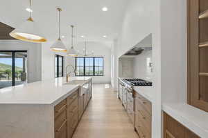 Kitchen with stainless steel gas stovetop, modern cabinets, light wood-style flooring, recessed lighting, and a sink