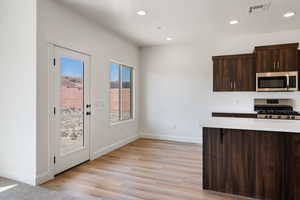 Kitchen with light hardwood / wood-style flooring, stainless steel appliances, decorative backsplash, and dark brown cabinets