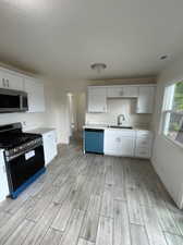 Kitchen featuring light hardwood / wood-style flooring, sink, appliances with stainless steel finishes, and white cabinetry