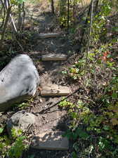 Stones leading to the stream.