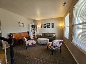 Living room with a textured ceiling and dark colored carpet