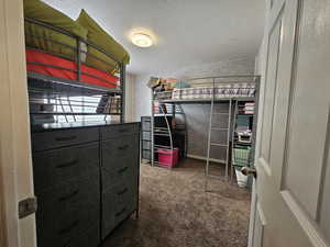 Spacious closet featuring carpet floors