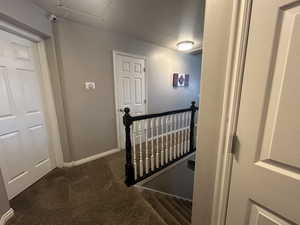 Stairs featuring carpet flooring