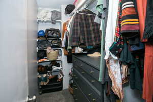 Spacious closet with carpet floors