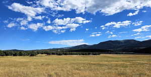 Photo 4 of 6  JUNIPER FLDS