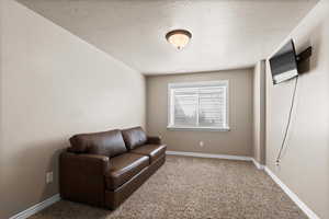 Living area featuring a textured ceiling and carpet flooring