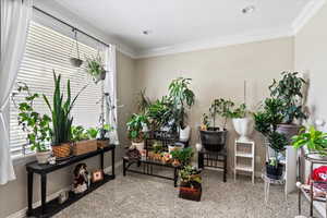 Living area with crown molding and plenty of natural light