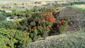 Aerial view of the lush greenery and picturesque landscapes