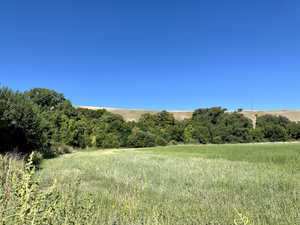 View of idyllic field surrounded by a picturesque natural boundary