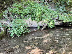 View of spring water flowing