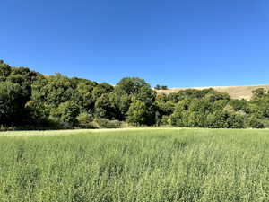 View of property nestled in with a natural boundary