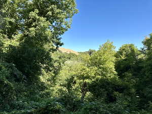 View of hillside natural seclusion