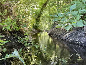 View of the natural tranquil springs running through the property