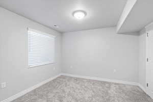 Unfurnished room with light carpet