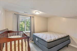 Carpeted bedroom #3 Downstairs featuring a textured ceiling