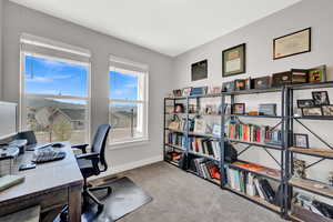 Office area featuring light carpet