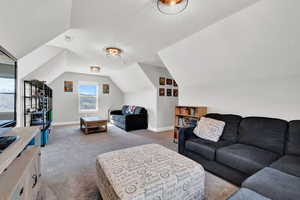 Living room featuring vaulted ceiling and carpet floors