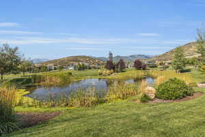 Neighborhood pond
