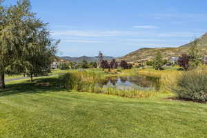Neighborhood pond
