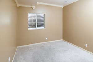 Bedroom #6 featuring ornamental molding and carpet flooring