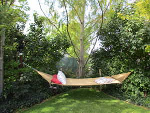 View of Hammock in backyard