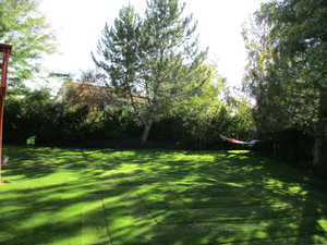 View of lush backyard