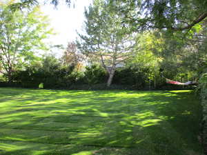 View of large backyard