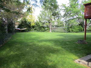 View of secluded backyard