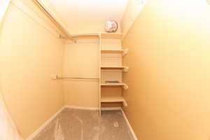 Bedroom spacious closet with carpet flooring