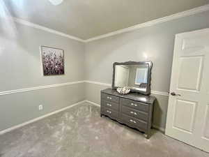 Carpeted bedroom with crown molding