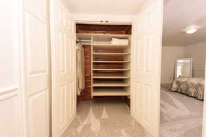 View of Cedar Closet for storage in basement hallway.