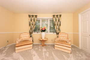 Sitting room featuring carpet