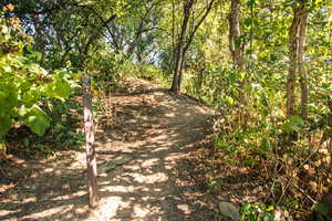 View of local Farmington Trail