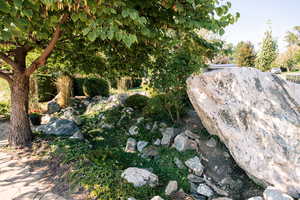 Stream on North side of property.