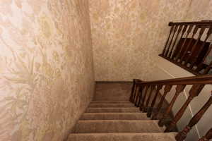 Stairway to daylight basement.