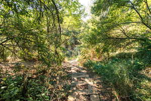 View of Farmington Trail