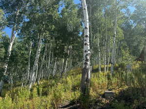 View of landscape