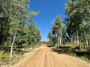 View of street