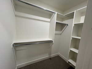 Spacious closet with dark carpet