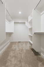 Walk in closet with carpet