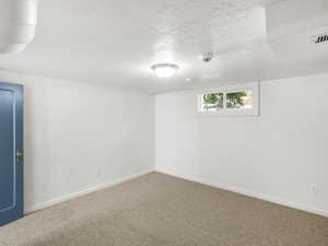 Spare room featuring a textured ceiling and carpet floors