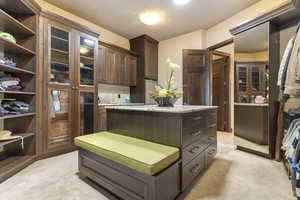 Walk in closet with light colored carpet