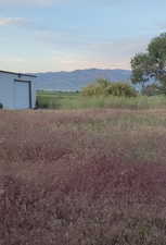 East view in front of shed